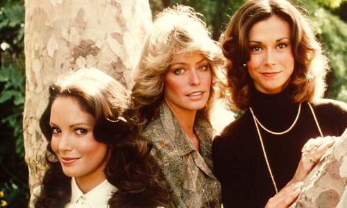 
Julie Johnson từng đóng thế cho các minh tinh Jaclyn Smith, Farrah Fawcett và Kate Jackson trong Những thiên thần của Charlie.
