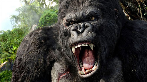 Kong: Skull Island sẽ quay tại một số địa điểm trong đó có Việt Nam.