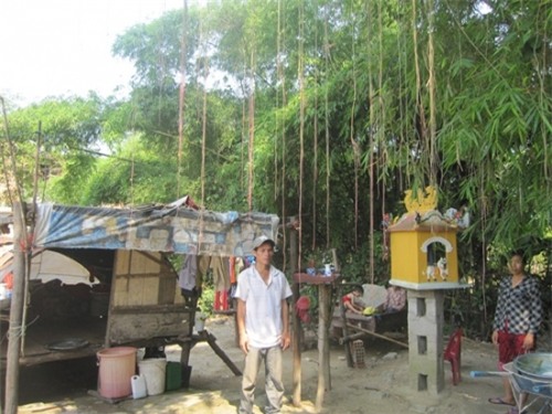 Kh&ocirc;ng gian sinh hoạt gia đ&igrave;nh anh Vui dưới l&ugrave;m tre bao phủ.