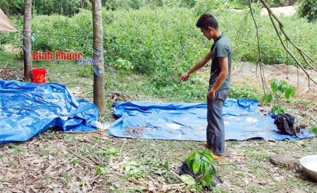 Dây thừng và đầu củ máy bơm trói tay nạn nhân.