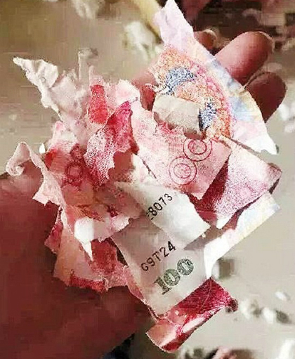 Những mảnh tiền &ocirc;ng chồng giấu vợ bị ch&uacute; ch&oacute; cắn n&aacute;t th&agrave;nh nhiều mảnh. Ảnh:&nbsp;CEN.