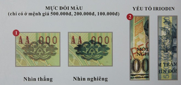 Mực đổi màu (Ảnh: Internet)