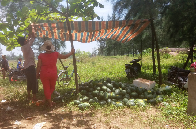 Một số người mang cả dưa hấu ra bán, phục vụ người dân đi xem cá voi giữa trời nắng nóng