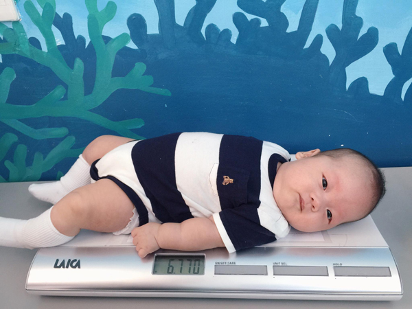 
Ngày 1/6, Khánh Ly khoe ảnh bé Khoai Tây nằm ngoan ngoãn trên chiếc cân điện tử khi đi tiêm phòng. Cậu nhóc khi đó mới 2 tháng 5 ngày tuổi và nặng 6,77 kg.
