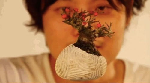 
Giá khởi điểm của một chậu bonsai bay như vậy khoảng 200 USD (4,4 triệu đồng).

