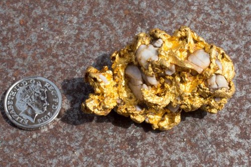 
Cục vàng mà ông Vincent tìm thấy có kích cỡ tương đương một quả trứng gà.
