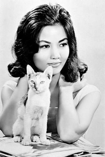 
Nghệ sĩ Kiều Chinh sinh năm 1937 ở Hà Nội nhưng trưởng thành ở Sài Gòn. Bà là một trong những diễn viên nổi tiếng của miền Nam trước năm 1975 và từng đóng một số phim của Hollywood. Bà có vẻ đẹp sắc sảo, cuốn hút. Hiện tại, nghệ sĩ Kiều Chinh sống ở hải ngoại, vẫn thường xuất hiện tại các sự kiện điện ảnh của cộng đồng người Việt. ( Hình ảnh Kiều Chinh thời trẻ )
