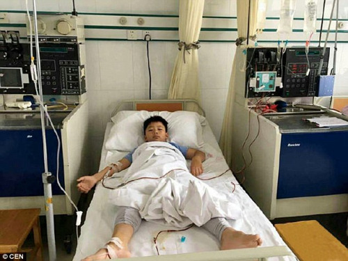 
“Chỉ có em mới có thể cứu cha mình,” cậu bé 8 tuổi Cao Yinpeng nói khi nằm trên giường đợi hiến máu.

