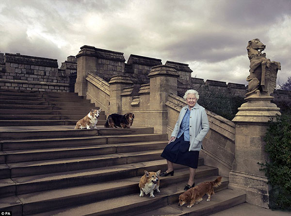 
Ngoài ra, nhiếp ảnh gia Annie Leibovitz còn ghi lại khoảnh khắc đời thường của nữ hoàng bên đàn chó cưng.
