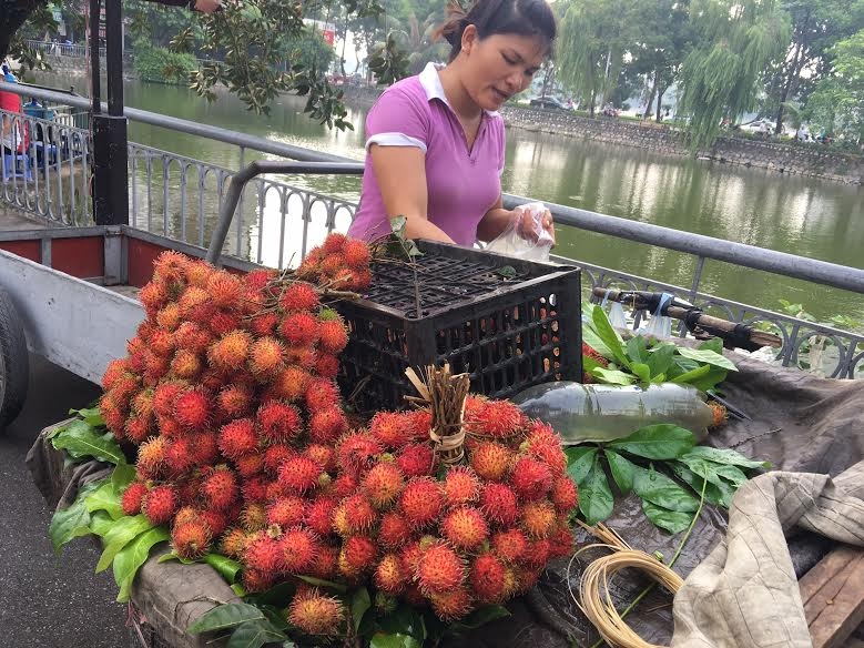 Với giá bán hiện tại, chôm chôm ở Hà Nội đang có giá cao gấp 6-8 lần giá thu mua tại các nhà vườn ở miền Nam