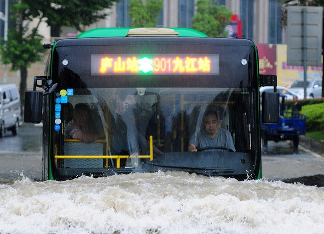 
Nước lũ ngập ngang xe buýt.

