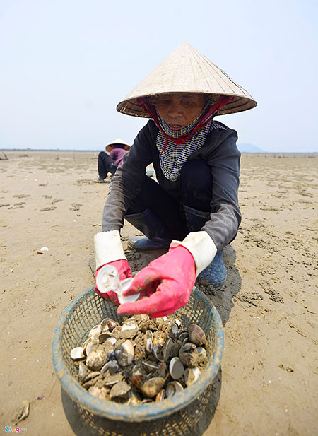 
Bà Hà Thị Lịch nuôi trồng ngao tại đầm hơn 10 năm nay, nhưng chưa có năm nào bị tình trạng này. Cả gia đình có 8 nhân khẩu trông chờ vào đầm ngao, nhưng giờ họ không còn gì. Số tiền bà Lịch bỏ ra mua giống thả xuống đồng lên tới 150 triệu đồng.
