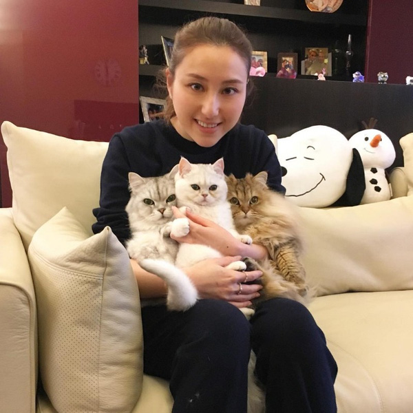 
Trên trang Instagram của mình, Florinda Ho thường xuyên đăng tải những bức ảnh thân thiết bên 3 chú mèo cưng.
