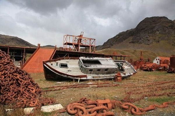
Thị trấn Grytviken
