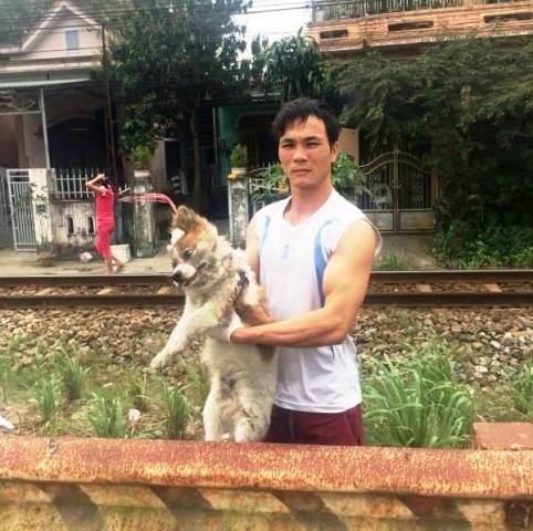 Tại Hội Cứu trợ Pet Huế của anh Trần Văn Sơn hiện có hàng chục con chó mèo vô chủ được nuôi nhốt.