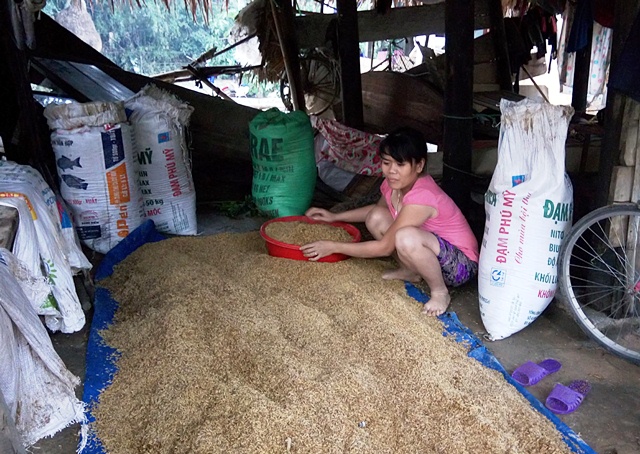 Hầu hết đồ đạc trong nhà chị Hoàng Thị Nga (ở thôn Hà Lời, xã Cảnh Hóa, huyện Quảng Trạch) đã bị lũ cuốn sạch, chỉ còn sót lại ít thóc. Sách vở, quần áo... của hai đưa con cũng đã đi theo nước lũ. Những ngày tới, anh chị không biết lấy đâu ra tiền để sắm đồ mới cho con đi chọ. Ảnh: M.K