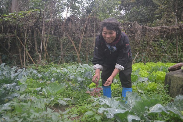 Nguồn thực phẩm trên đảo được hai chị em cô Ngọc tự cung cấp để đảm bảo sức khoẻ. Ảnh: Đ.T