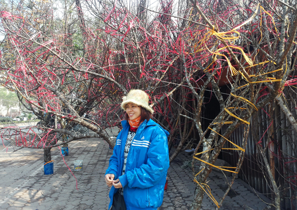 
Đào rừng từ Mộc Châu (Sơn La) được bày bán khắp phố phường Hà Nội. Ảnh: P.Bình
