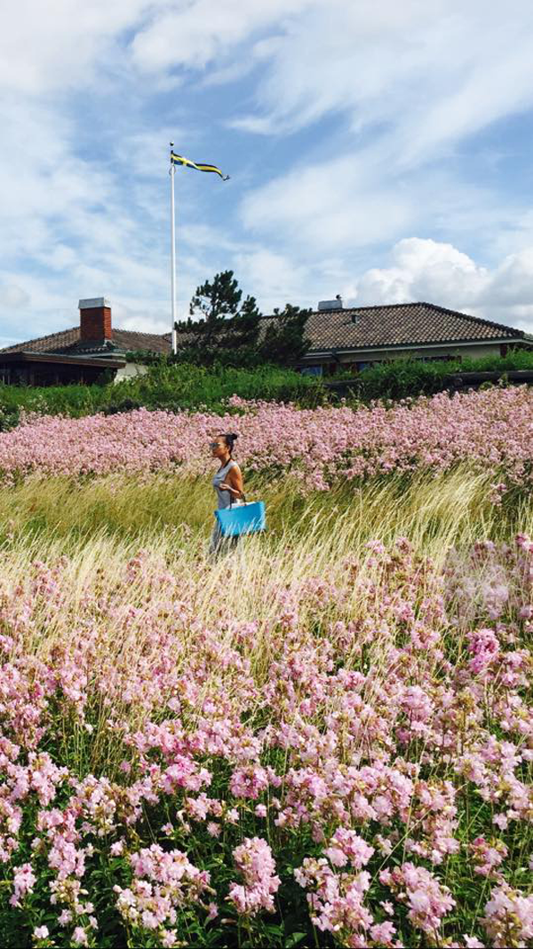 
Đoan Trang thả dáng trên cánh đồng hoa ở quê của chồng. Cô dành thời gian đi thăm chị gái và nhà chồng nhân dịp nghỉ hè.
