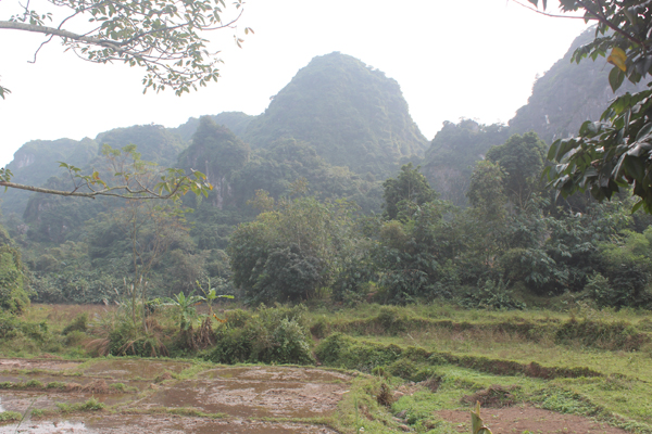 
Hang Tr&acirc;u nh&igrave;n từ xa.

