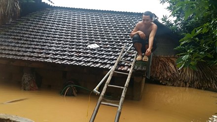 
Một người dân huyện Hương Khê phải trèo lên mái nhà để tránh lũ.
