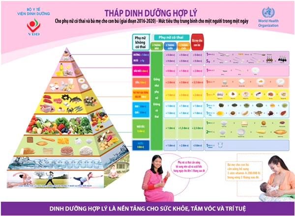 Hình 1: Tháp dinh dưỡng cho mẹ bầu và cho con bú