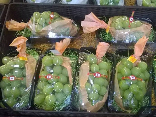 
Hình ảnh nho xanh không hạt Nhật Bản đang được giới nhà giàu Việt chuộng mua về ăn
