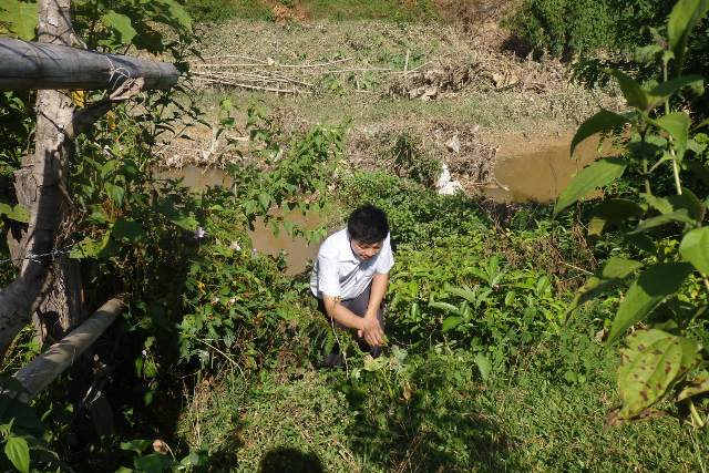 Ông Lưu với những thứ lá có sẵn xung quanh nhà đã chữa trị khỏi bệnh cho trên 100 người