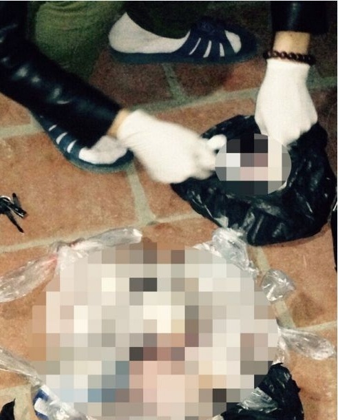 
Hình ảnh đăng trên một số báo điện tử với thông tin tìm được xác thai nhi vắn số tại bãi rác ở Yên Phong, Bắc Ninh (Ảnh: Internet)
