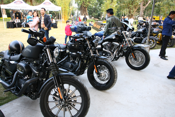 
Những chiếc mô tô Harley Davidson thường mang phong cách mạnh mẽ, phóng khoáng
