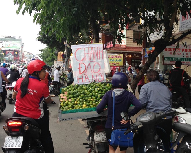 
Chanh đào được bày bán trên những chiếc xe lưu động tại đường Cộng Hòa. Ảnh: Thái Nguyễn.
