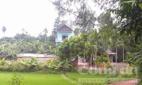 
Ng&ocirc;i nh&agrave; nạn nh&acirc;n sinh sống c&ugrave;ng hung thủ.
