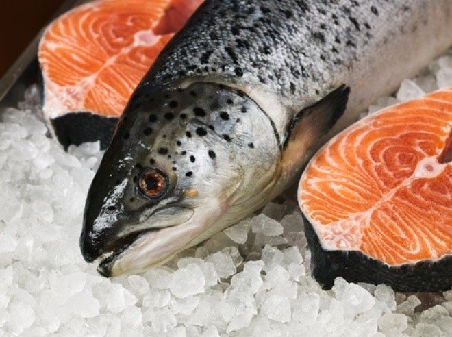 
Người dân đang hoang mang trước thông tin cho rằng cá hồi nuôi là loại thực phẩm độc hại nhất thế giới
