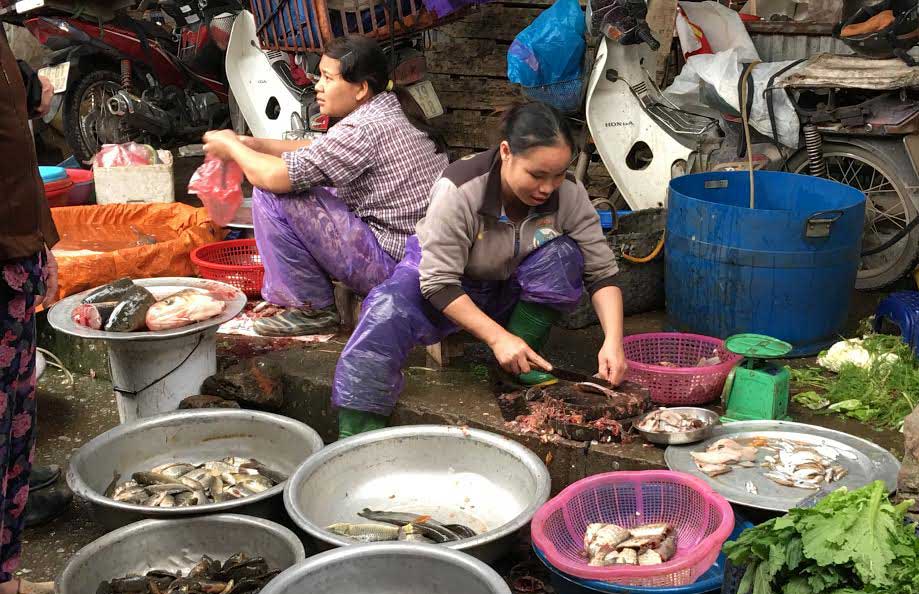 Người dân săn lùng mua các loại bong bóng cá