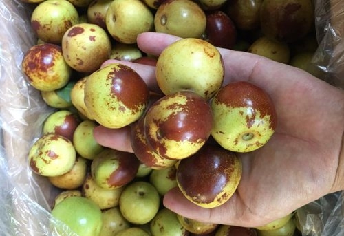 Táo tàu có màu thâm xỉn, được cho là có nhiều tác dụng tốt
