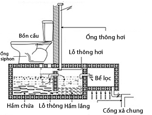 Cấu tạo của hệ thống bồn cầu - bể phốt. Ảnh: RMC.