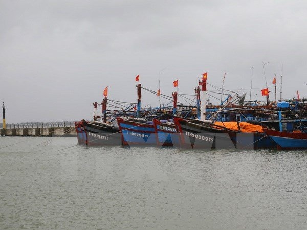 Tàu thuyền ngư dân neo đậu tránh áp thấp nhiệt đới tại khu neo đậu tau thuyền Phú Hải, huyện Phú Vang