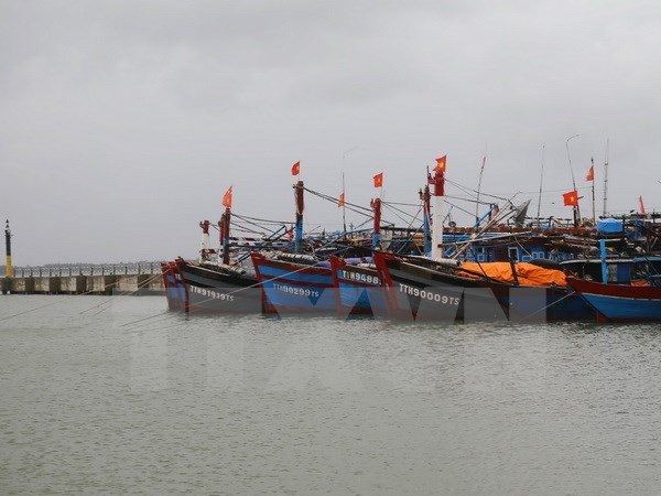 T&agrave;u thuyền ngư d&acirc;n neo đậu tr&aacute;nh &aacute;p thấp nhiệt đới tại khu neo đậu tau thuyền Ph&uacute; Hải, huyện Ph&uacute; Vang