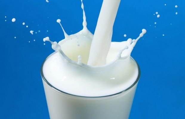 Sữa tươi tốt cho bệnh gút