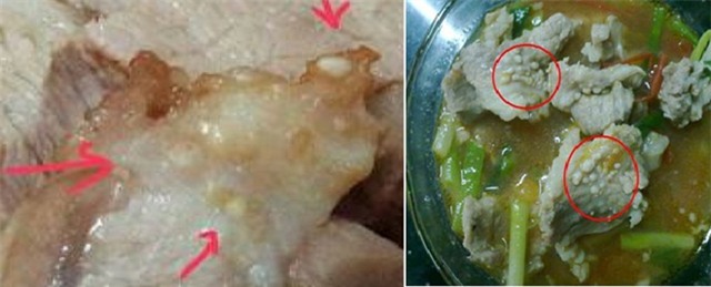 Hình ảnh ấu trùng sán gạo heo trong thực phẩm