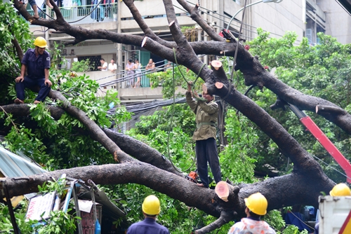 Lực lượng chức năng cắt cành để dọn dẹp hiện trường. Ảnh: Sơn Hòa