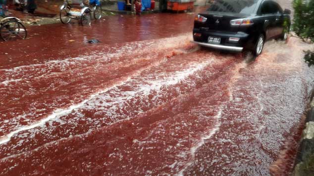 Thay vào đó, người Hồi giáo đã đổ xô tới bãi giữ xe, các gara và ra các con phố để chào mừng lễ hội (Eid al-Adha). Máu các con vật chảy ra đường khiến hầu hết các nơi chìm trong máu.