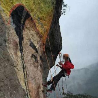 
Ling Ling h&igrave; hục vẽ tranh trong v&ograve;ng 2 th&aacute;ng.

