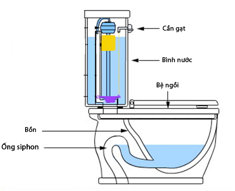 Ống siphon là chi tiết nhỏ nhưng quan trọng trong thiết kế khu vệ sinh. Ảnh: RMC.