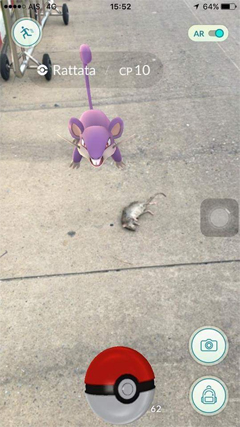 Trận chiến giữa hai con chuột.