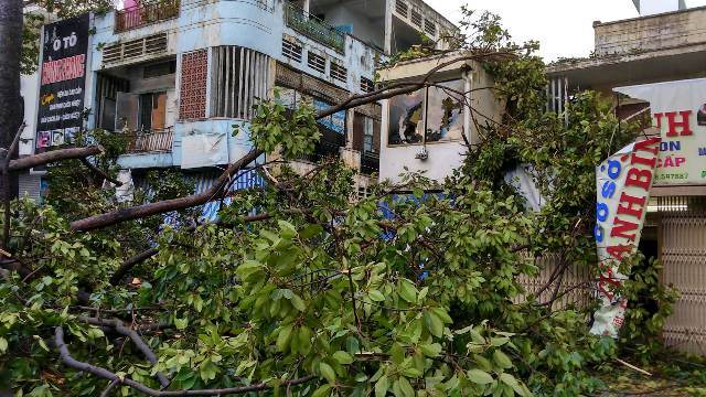 
Ngoài ra, 3 căn nhà bên đường An Dương Vương bị nhánh cây cổ thụ đổ đè trúng.
