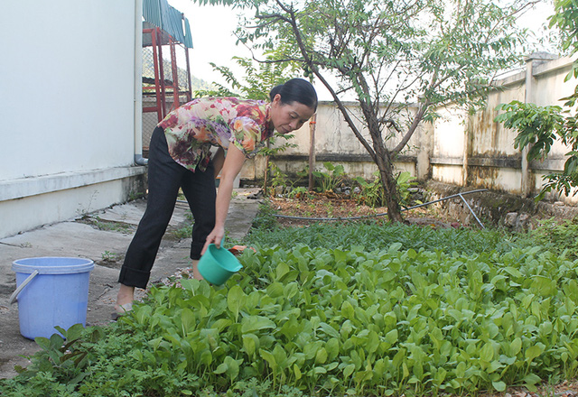 Cô Hợi chăm sóc luống rau được tập thể giáo viên trong trường trồng để cải thiện bữa ăn.