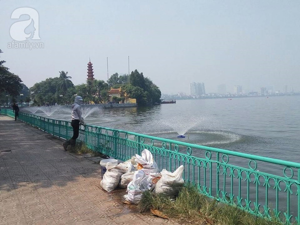 Người phụ nữ này ban đầu đứng ngắm cảnh Hồ Tây, nhưng ngay sau đó đã bê những bao tải bên trong là cá chết lên xe máy trở đi. Ảnh Lê Bảo