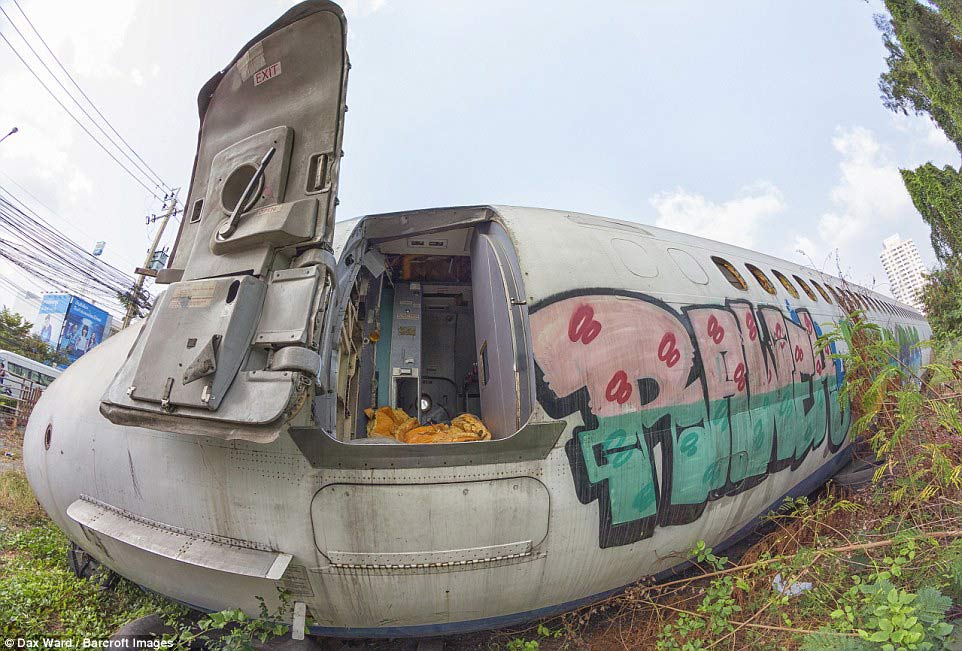 
Theo Ward, cho tới nay vẫn chưa c&oacute; kế hoạch di chuyển ch&uacute;ng, d&ugrave; khu đất n&agrave;y rất đắt đỏ.
