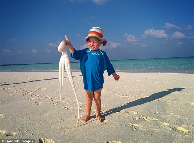 Cậu bé Henry mạnh dạn cầm một con mực bên bãi biển Maldives